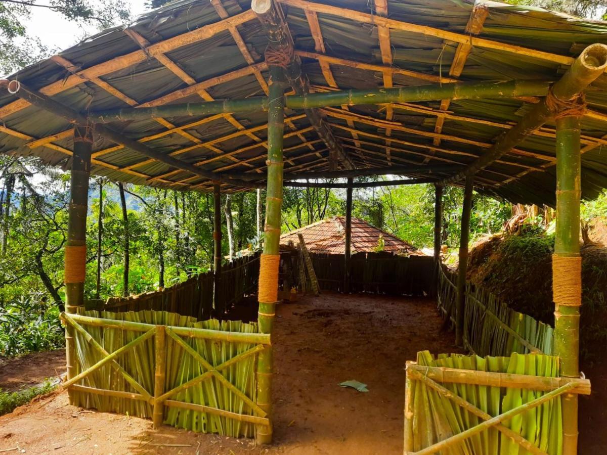 Kurinjiyil Farm Stay Munnar Kültér fotó