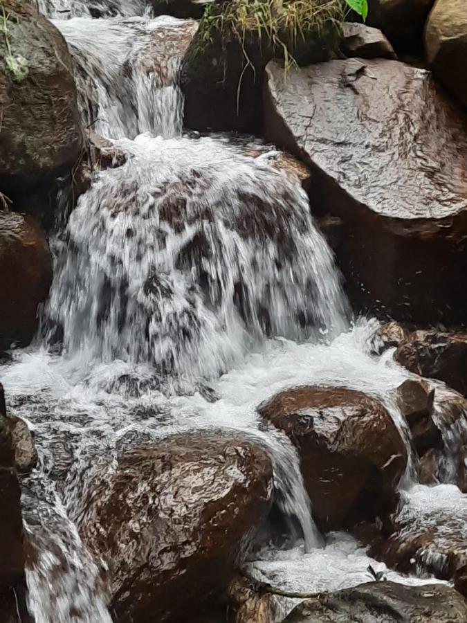 Kurinjiyil Farm Stay Munnar Kültér fotó
